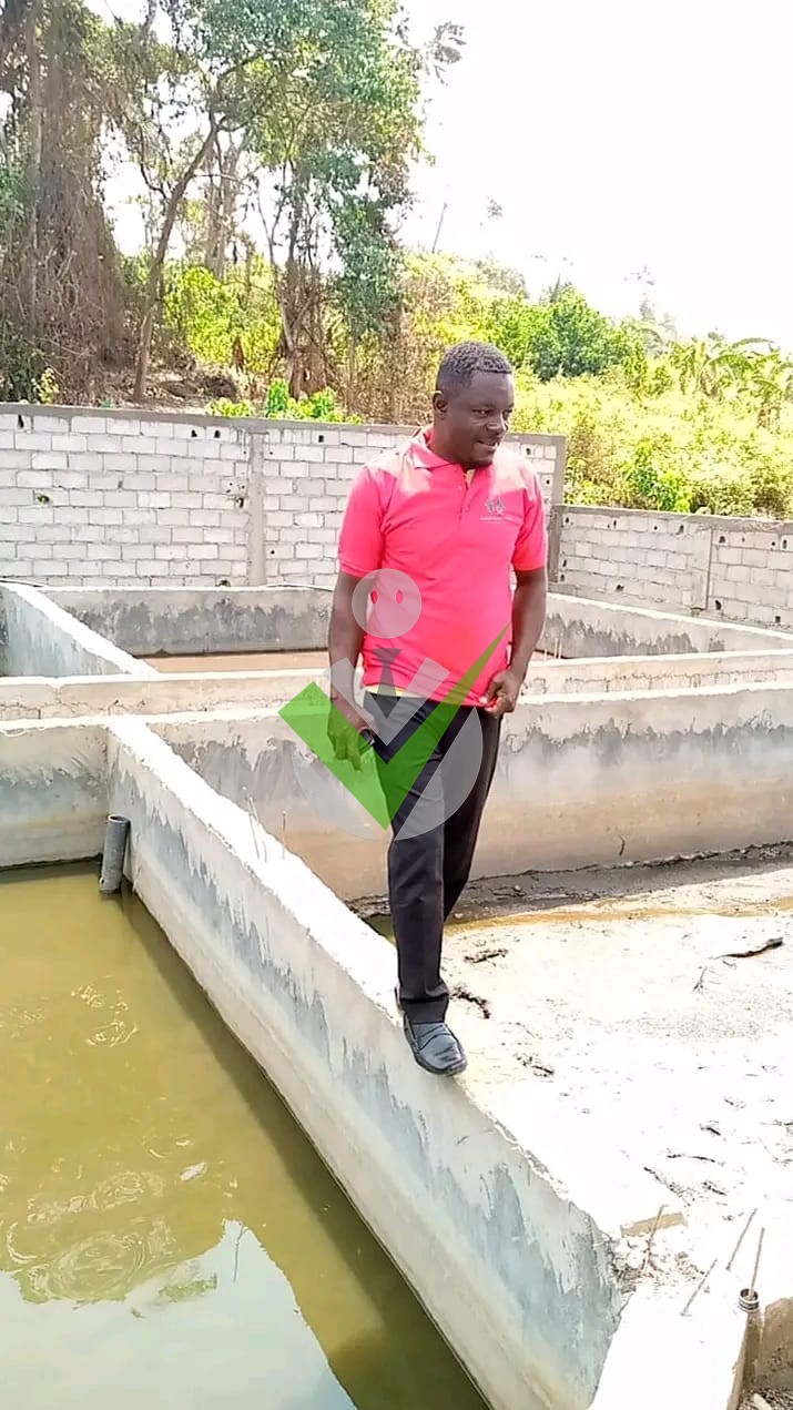 Nickel Aboumba