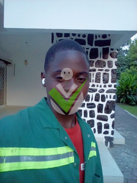 Berlus Berlus