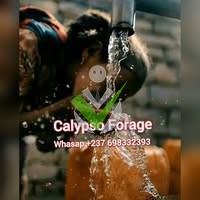 Calypso Forage