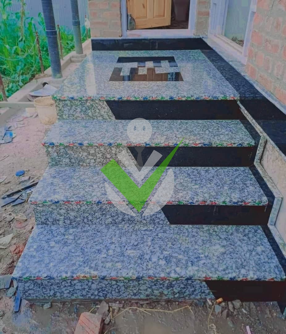 STIVE STIVE