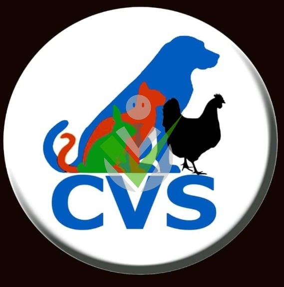 Cabinet vétérinaire le Suivi