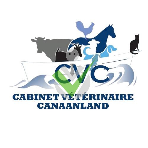 Cabinet Vétérinaire Canaanland