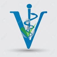 Vétérinaire D'urgence Vétérinaire D'urgence