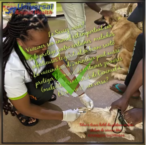 Universal Animal Health Cabinet Vétérinaire
