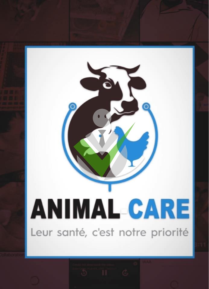 Animal Care Clinique Vétérinaire