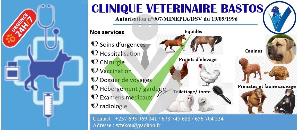 Clinique vétérinaire