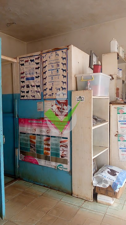 CLINIQUE VÉTÉRINAIRE SHALOM D'ETOUDI