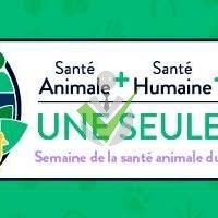 GIC Sante Et Bien Etre Pour Tous GIC Sante Et Bien Etre Pour Tous