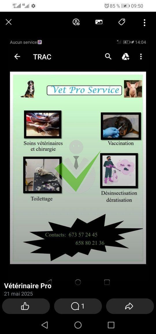 Vétérinaire Pro Vétérinaire Pro