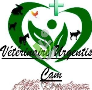 Vétérinaire Urgentiste -Allô Docteur Vétérinaire Urgentiste -Allô Docteur