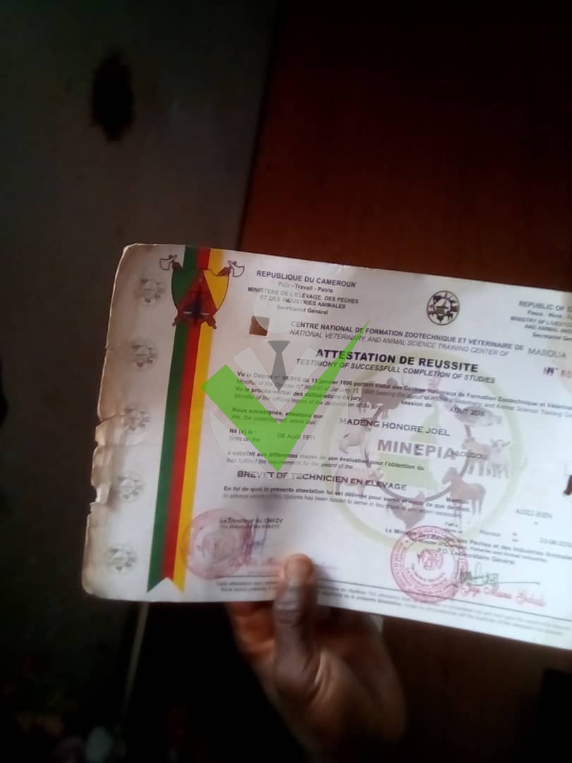 Madeng Honore Joel Madeng