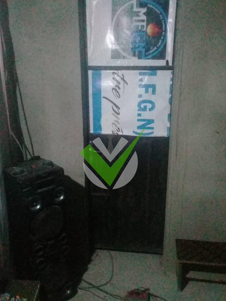 Eyinga eyinga levi